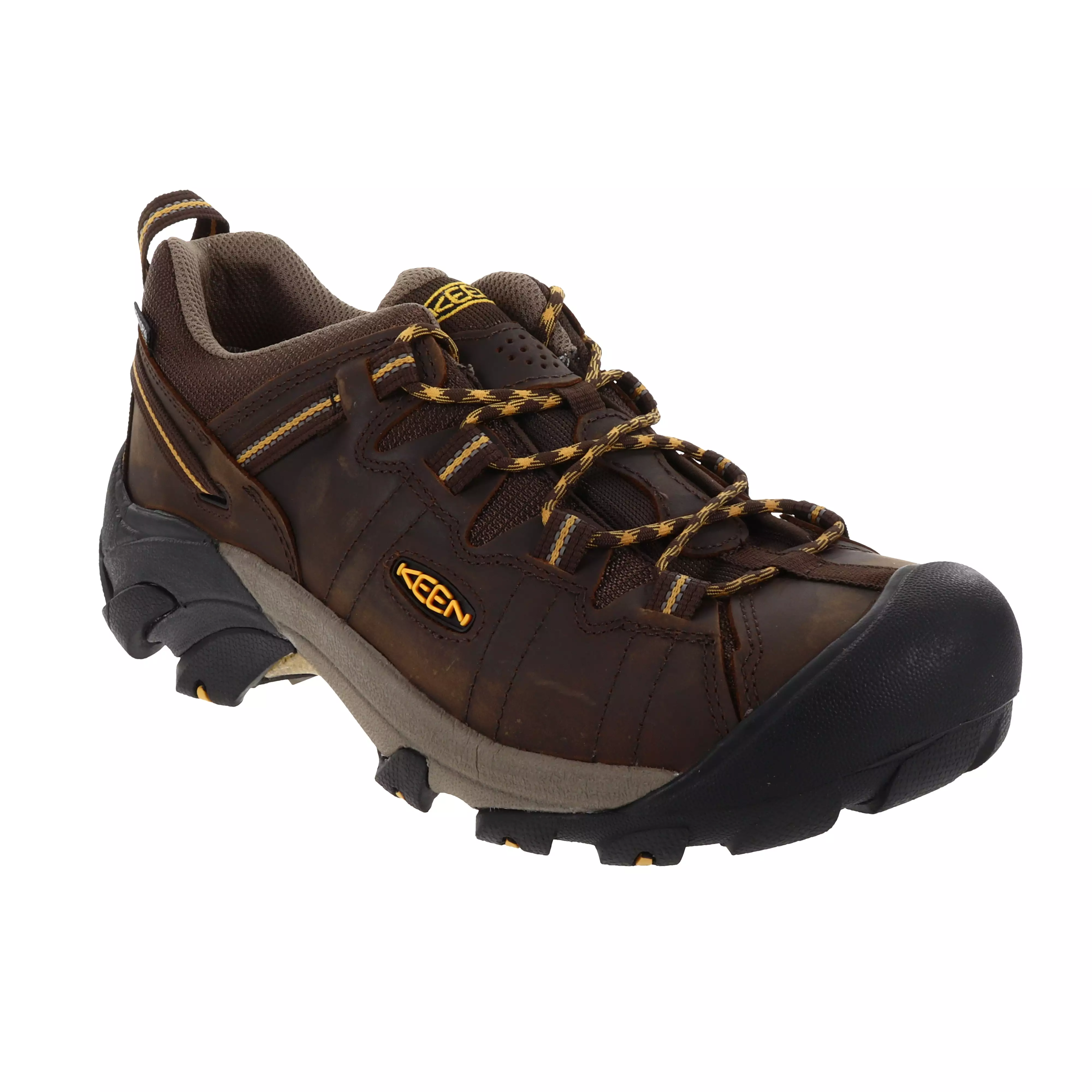 Men's Targhee II Low