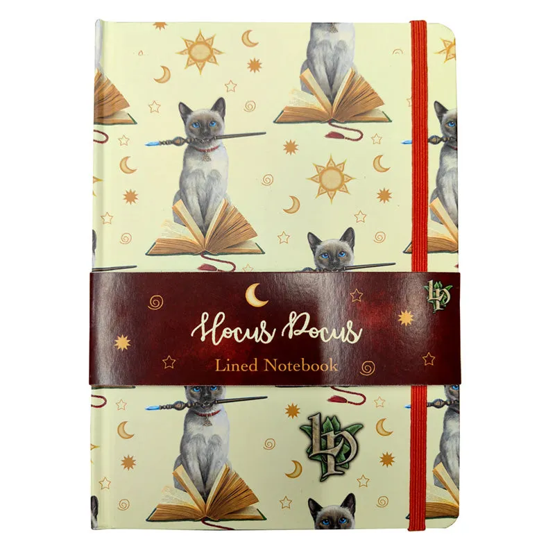 Recycled Paper A5 Lined Notebook - Lisa Parker Hocus Pocus Cat MEMO110