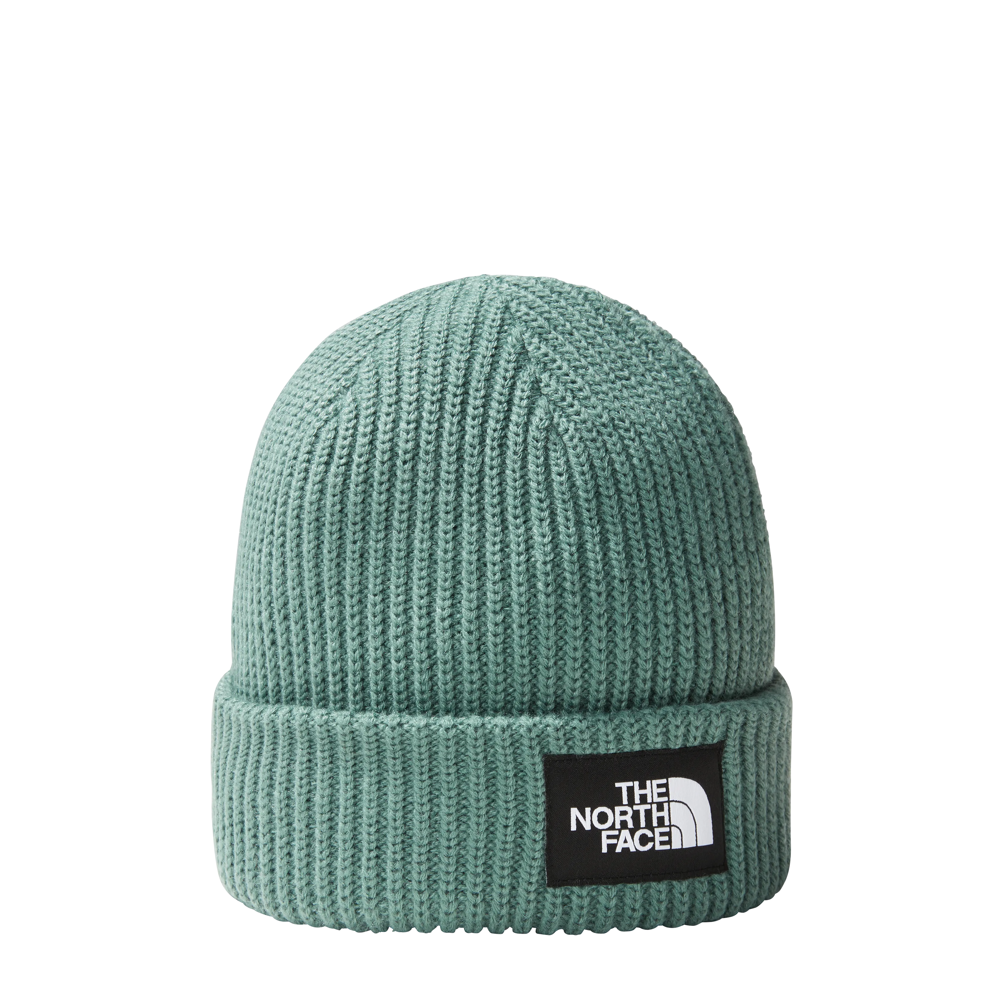 The North Face Salty Dog Beanie | Hats & Caps | BananaFingers