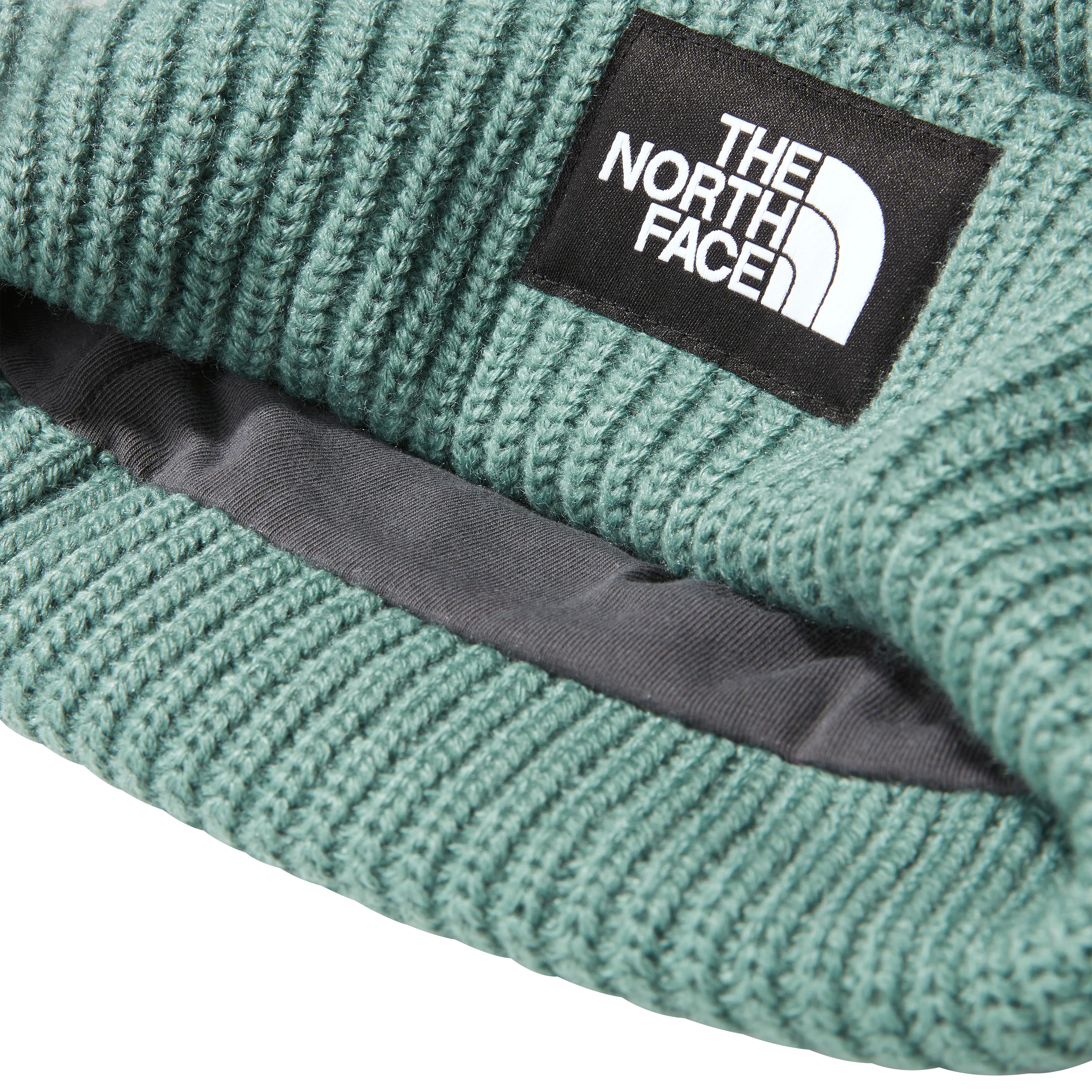 The North Face Salty Dog Beanie | Hats & Caps | BananaFingers