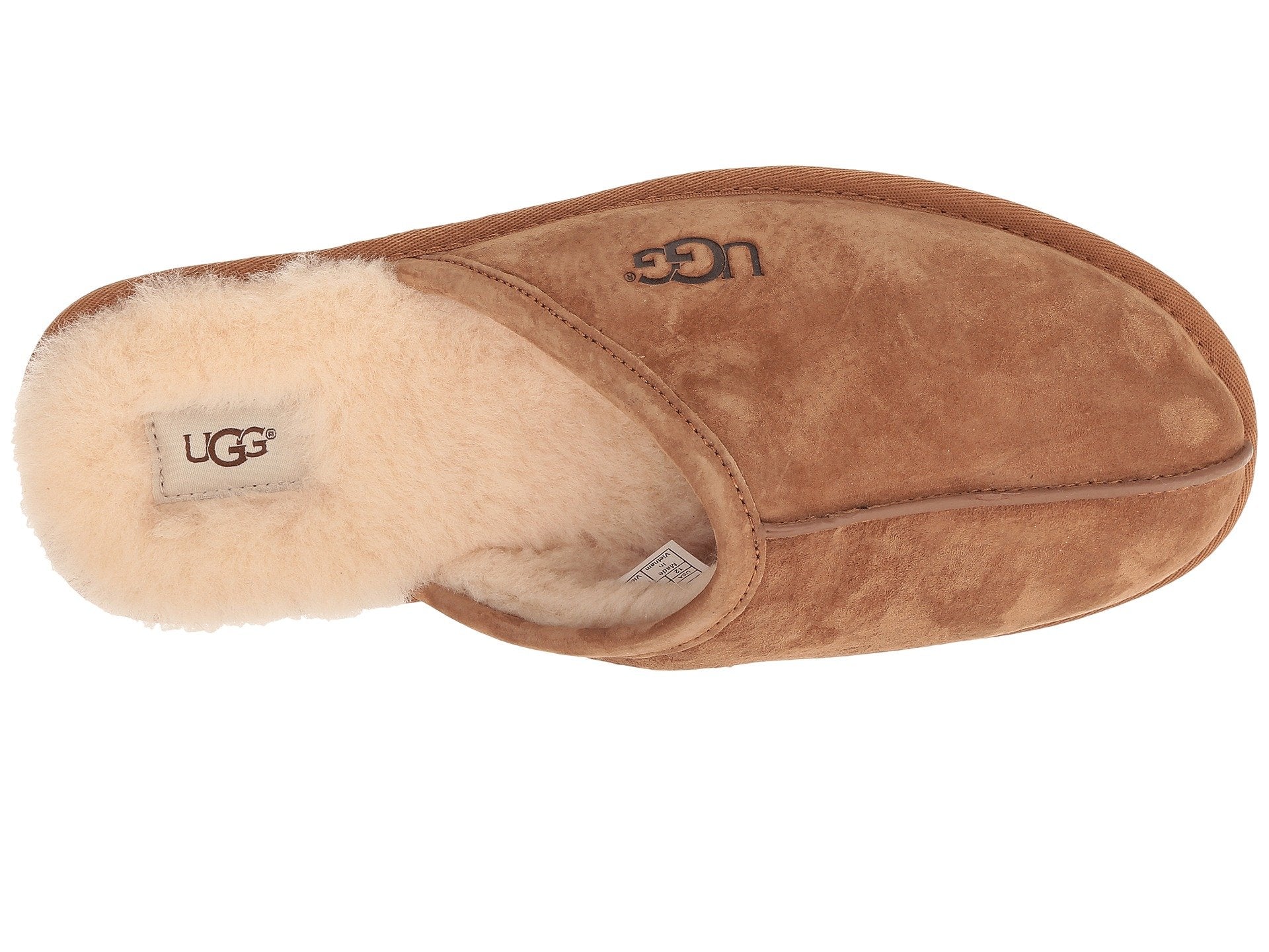 UGG Scuff Men | Chestnut (1101111)